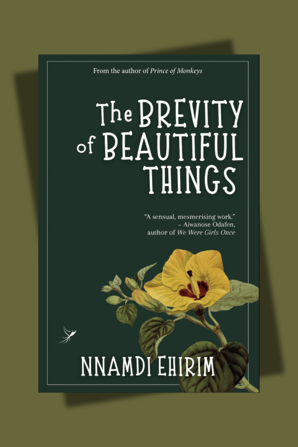 The author as a reader - nnamdi ehirim
