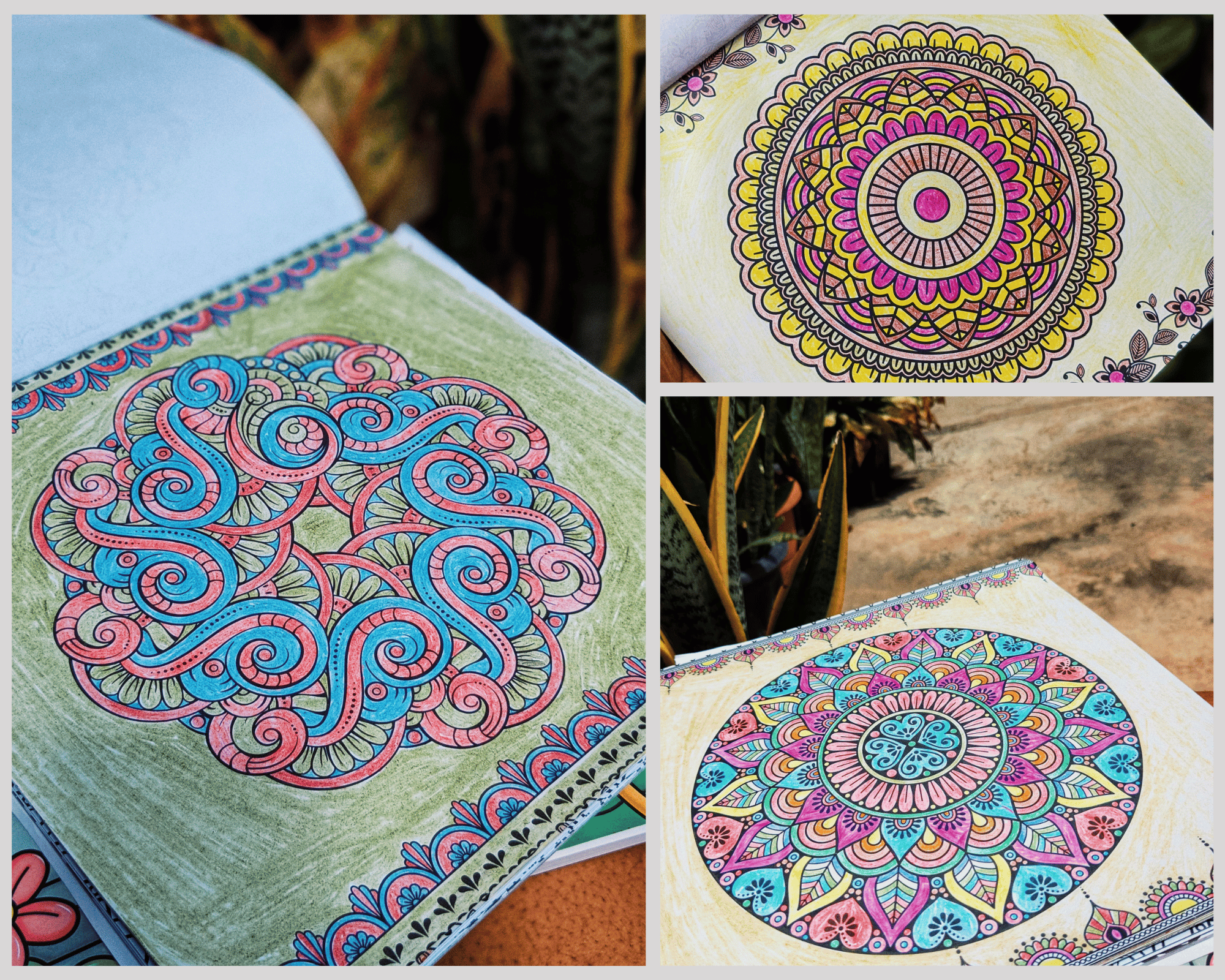 amyn recommends - adult colouring books