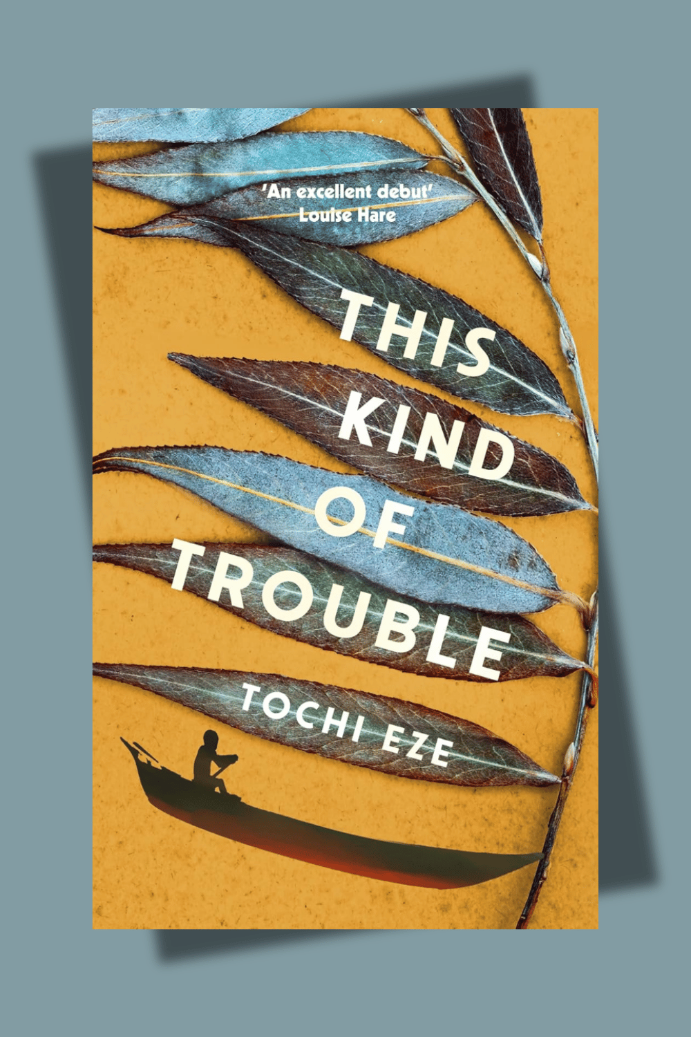 The Author As A Reader Ama Asantewa Dia